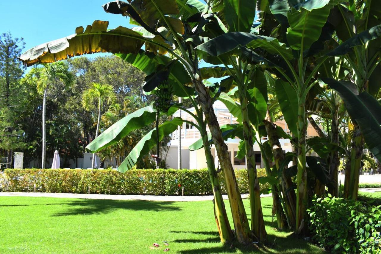 Tropical Casa Laguna Cabarete Exteriér fotografie